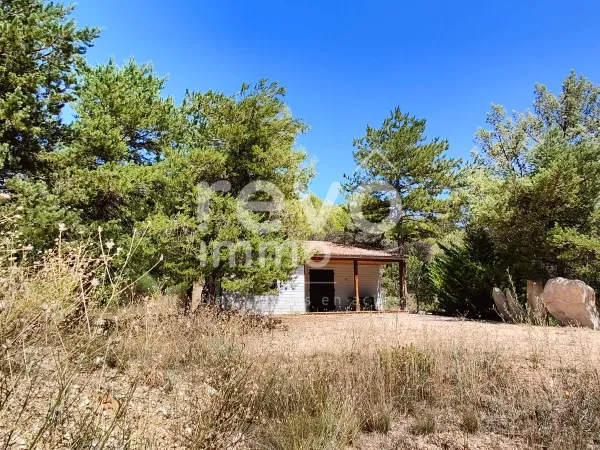 Un refuge entre le chant des pins et la lumière de la Provence...