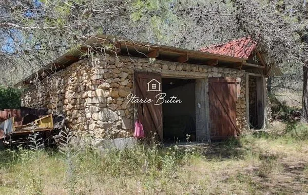 Terrain 7875 m²