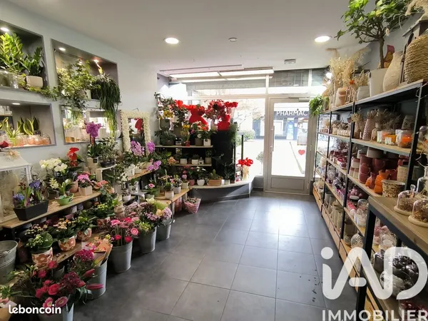 Cadeaux 55 m² Grigny-sur-Rhône