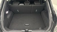 Ford Puma 1.0 Flexifuel 125ch S&S mHEV Titanium — photo 14