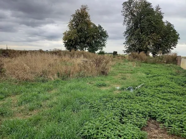 Terrain 815 m²
