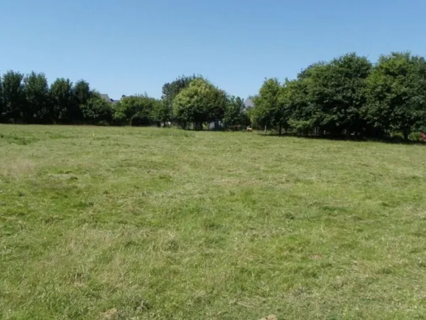 Terrain 229 m²