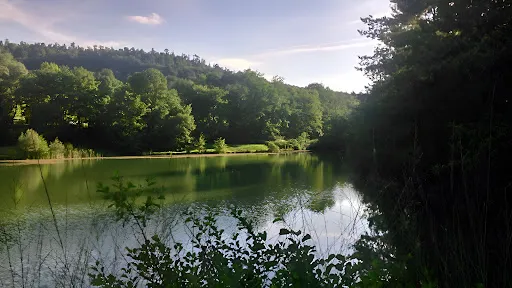 Propriété 130 m²