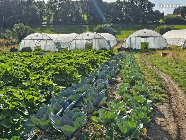 Exploitation / corps de ferme / maraîchage biologique