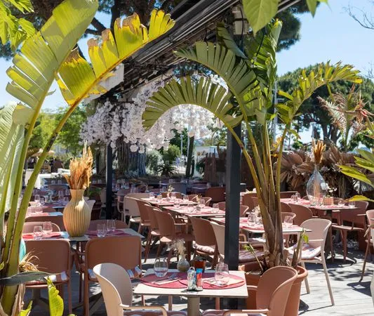 Brasserie sur le port de Bandol