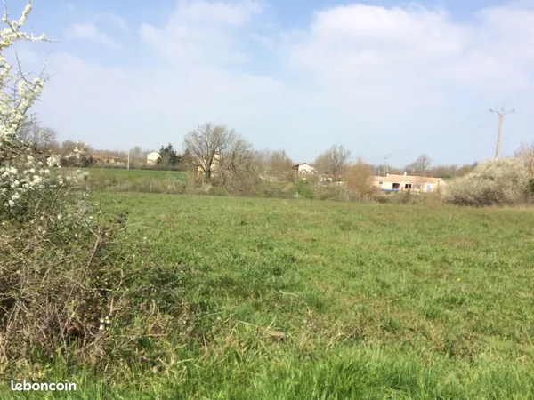 Terrain constructible