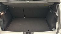 Dacia Sandero 1.0 ECO-G 100ch Stepway Expression + — photo 14