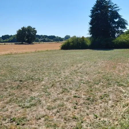 Terrain constructible