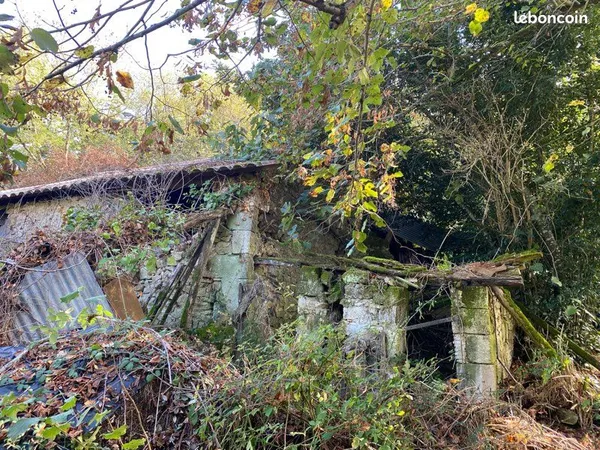4 hectares ,avec une ruine de 170 mètres carrés environ comprenant une partie habitation