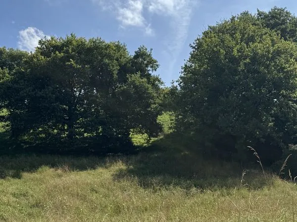 Terrain 1520 m² Lescar