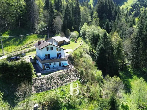 Exclusivité - Gérardmer - Chalet de standing en lisière de forêt