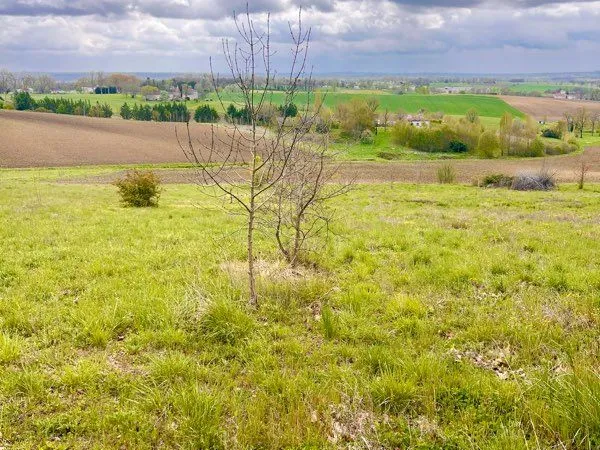 Terrain viabilisé