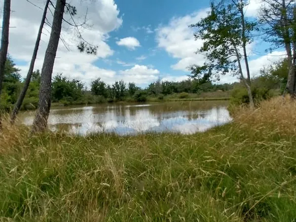 2,2 hectares avec un étang de 6000m2 plus 1,4 hectares de bo