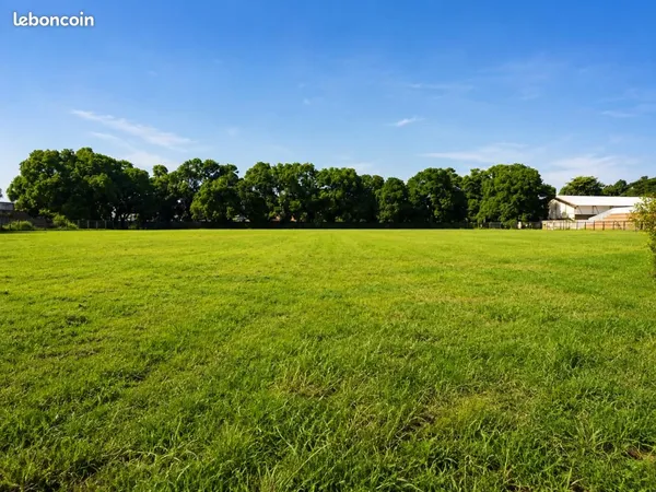 Terrain 1 100 m² Saujon