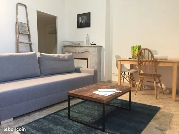 Appartement plein centre
