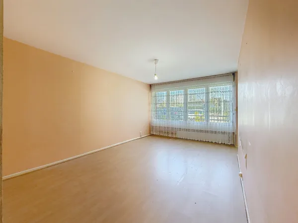 Appartement 1 pièce 42 m²