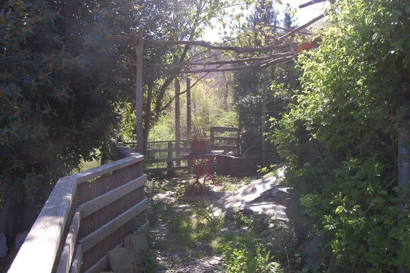 Photo 11