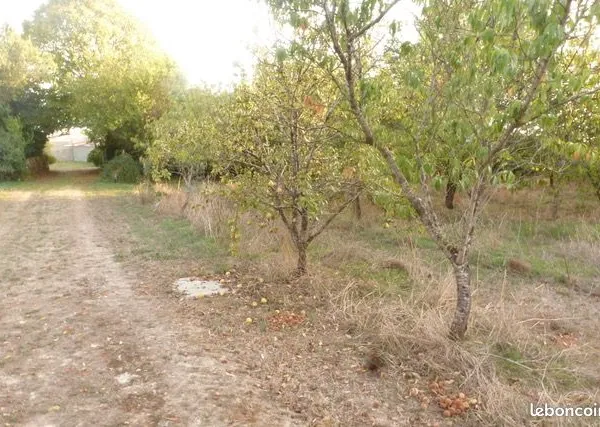 Places disponibles dans un hameau de 10 habitats légers