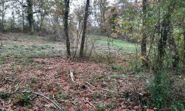 Terrain 2300 m²