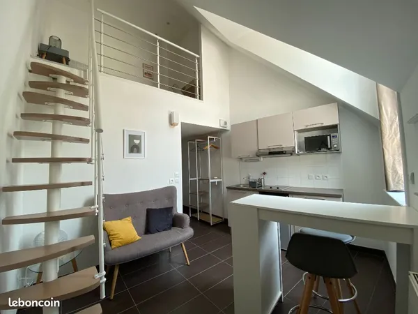 Duplex 1 pièce 24 m²