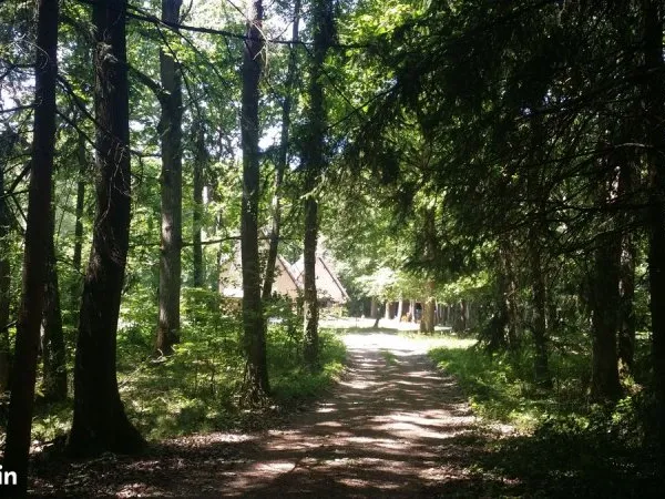 2 Chaumieres dans les bois