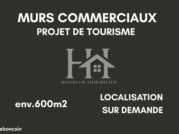 Local 800 m² Saubrigues