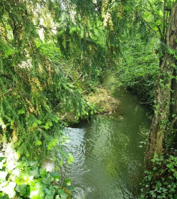 Photo 5