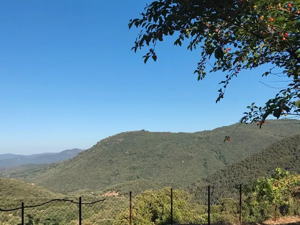 Olivese (Corse-du-Sud) - Maison de village avec vue panoramique - Terrain 480 m² -- Vue vallée du Ta