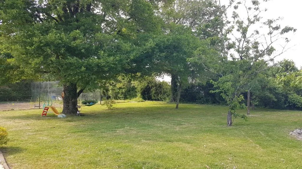 Photo 4