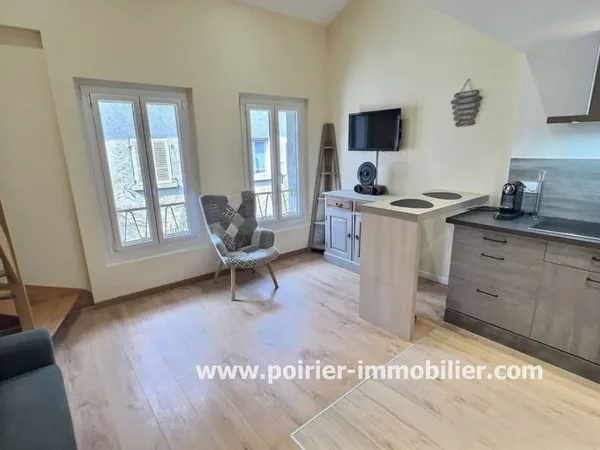 Duplex 2 pièces 33 m²