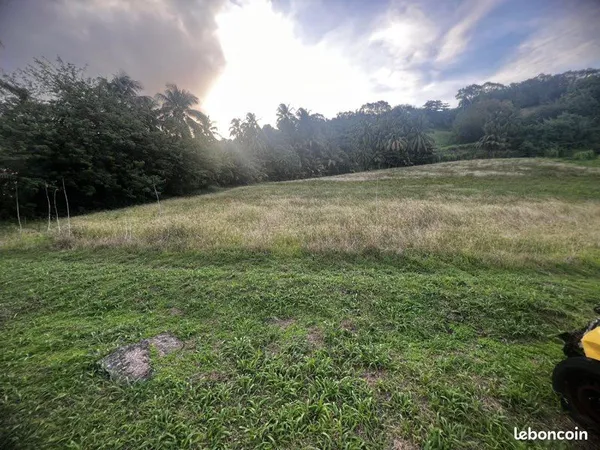 Vente de terrain