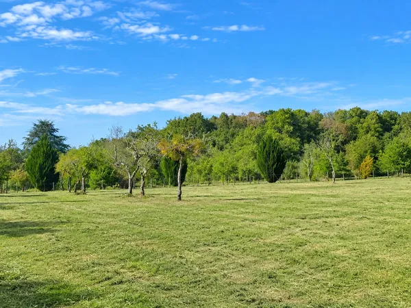 Terrain à bâtir