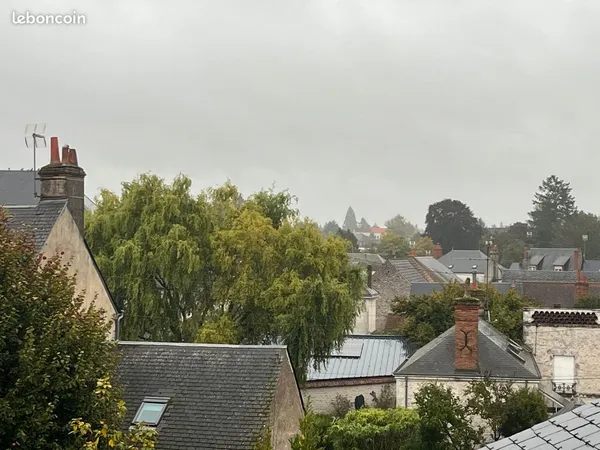 Superbe 2 pièces en duplex - Refait à neuf - Hypeer centre - Aucun vis-à-vis