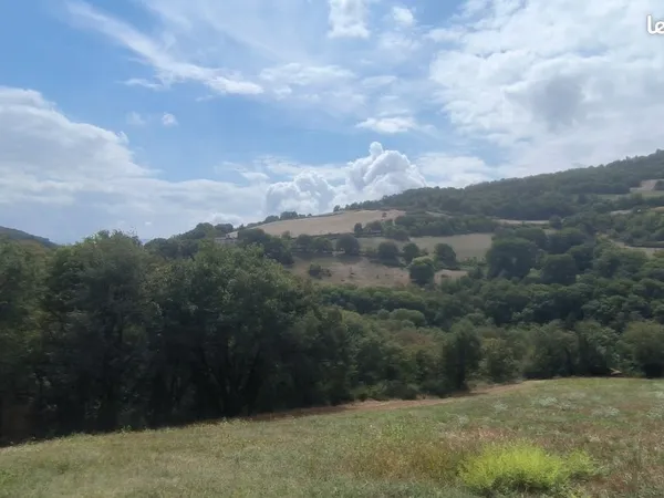 Terrain agricole boisé