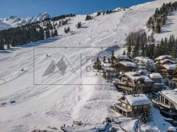 Chalet 13 pièces 885 m²