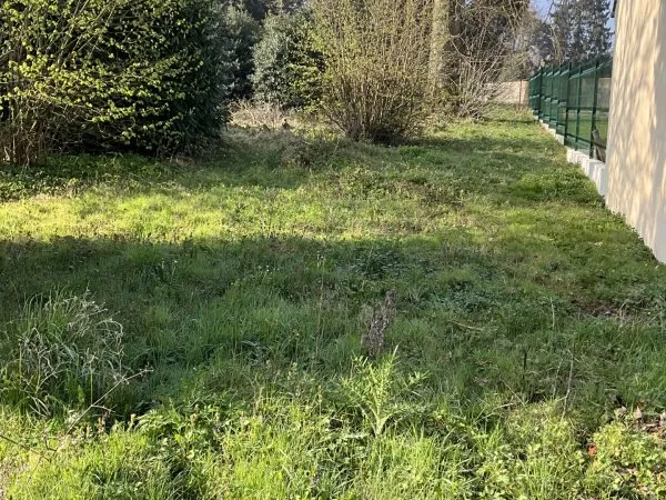Terrain 562 m²