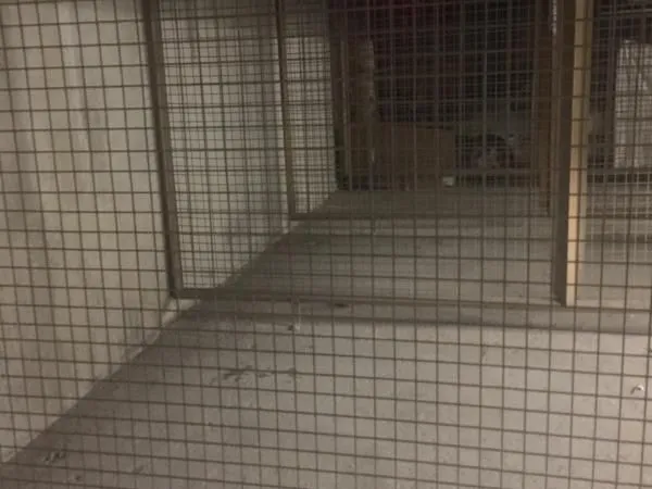 Garage/box 9 m² Chambourcy