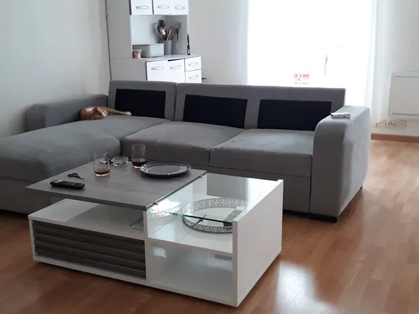 T3 2 chambres en plein centre