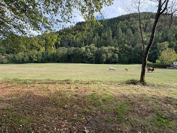 Terrain non constructible , foret , prés