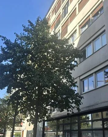 Appartement 3 pièces 84 m²