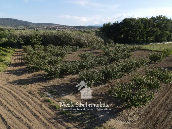 Terrain en individuel 17525 m²