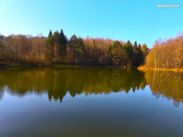 Rare epinal vaste domaine avec 5 etangs et une maison a renover