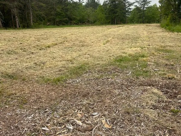 Terrain 2000m2