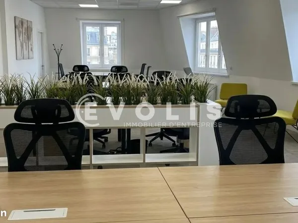 Bureau 115 m²