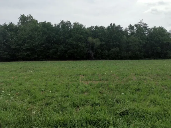 Terrain 1000 m²