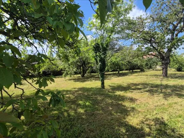 Terrain 732 m²