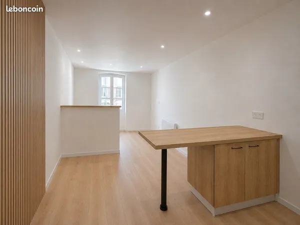 Studio rénové 22 m² + espace de stockage 8 m² - Hypercentre