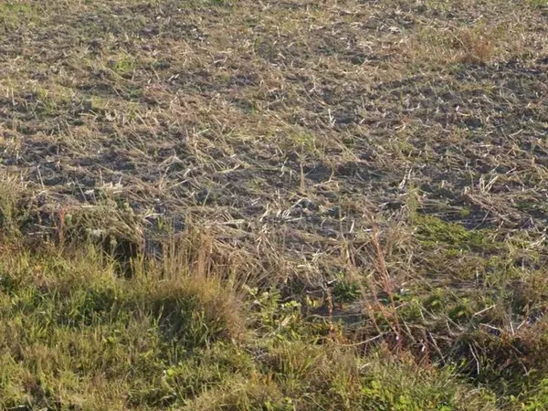 Terrain constructible saint folquin