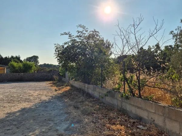 Location jardin potager