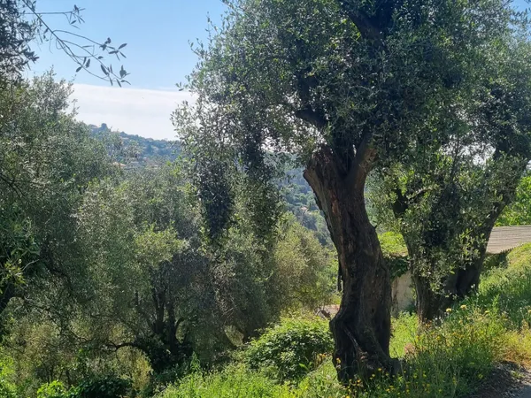 Terrain 1161 m²